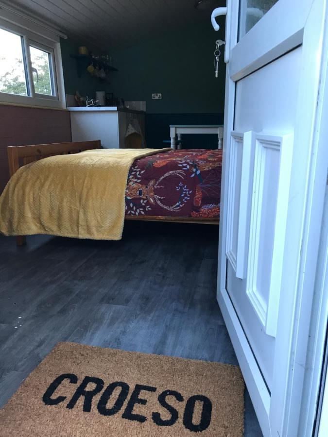 Poplar Lodge, Dee Valley - Cosy Microlodge With Detached Private Shower & Wc Apartment